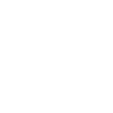 通用計程車車隊：車款介紹