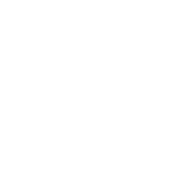 一般計程車：車隊介紹